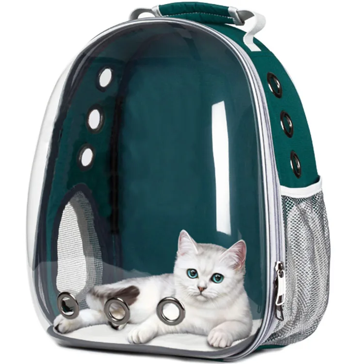 buy cat backpack