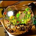 2020 New Design glass vases, air plant glass venus flytrap terrarium vase