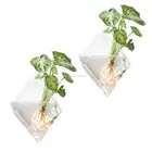 wall hanging glass planter air plant terrarium flower pots vase garden