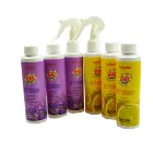 Professional OEM manufacturer Deodorizer Elegant Eco Refresh Air Freshener