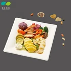 Disposable sugarcane bagasse pulp square paper dinner plate,100% biodegradable sugarcane tray
