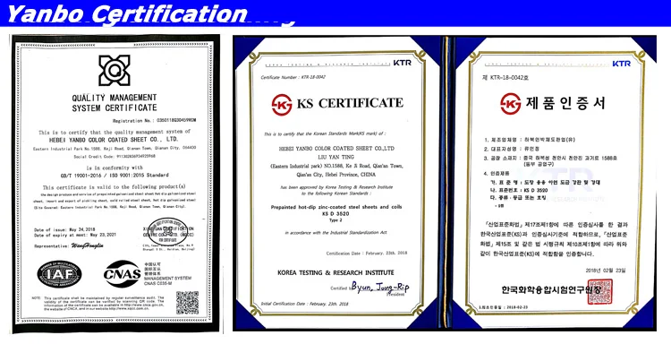 certification.jpg