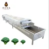 /product-detail/ce-stainless-steel-vegetable-and-fruit-food-belt-blanching-machine-for-precooking-boiling-62236430482.html