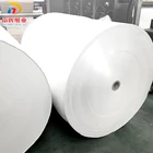 China Paper Paper/ China Supplier Single Side Pe Coated Paper Roll For Cup Paper/ Cheap 170gsm Rolled Paper