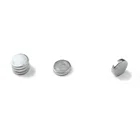 Sintered Neodymium Disc big water meter Magnet for Sales