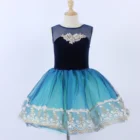 bodice with chiffon dress ballet lyrical dancing stage performance contemporary costumes