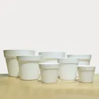 Plant Pot Plastic Plant Pot Frosted International Balcony Garden Decoration Plastic Plant Pot