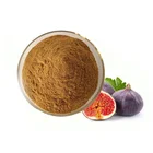 100% Pure Plant Extract Natural Taste Fig Fruit Powder