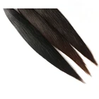 2012 Perfect Fashion!!! Remi Goddess Silky Straight Brazilian Virgin Hair