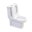 Gravity Flushing A2144B OUMISI 1 Piece Ceramic Sanitary Wares Bathroom Wc Modern Toilet With Washdown Flush