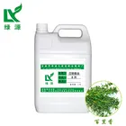 Factory direct sales 100 % Pure Nature Fresh Thyme Essential Oil for Food Additive and Daily Essence