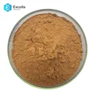 High Quality Fenugreek Seed Extract