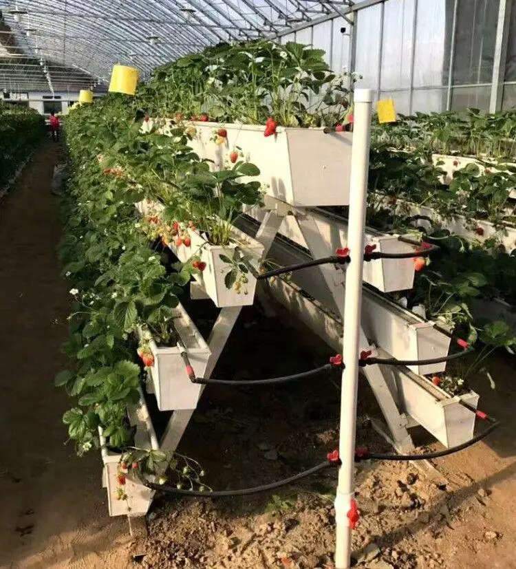 Plastic Pvc Hydroponic Strawberry Planting Gutter System For Greenhouse