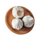 indian garlic fresh from exporters garlic in china