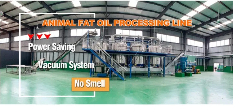 canola animal fat jatropha herb oil expeller extraction groundnut oil processing machine in pakistan