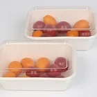 Box Lunch Box HR05 400ml High Quality Sugarcane Bagasse Lunch Box For Food With PET Lid