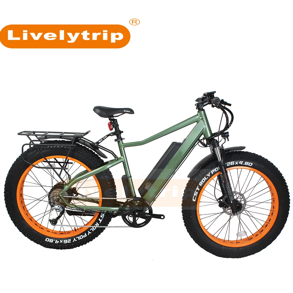 japanese style 36v 250w electric bike with hidden