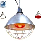 golden supplier red infrared halogen heat bulbs light lamp for livestock pig poultry farm 150w 250w
