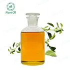 Jiangxi therapeutic grade oregano leaf essential oil in herbs