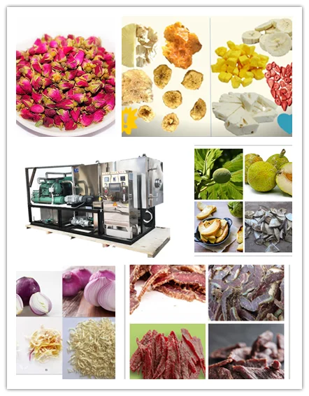 Herb acacia gum lily flower modified starch vacuum freeze drying machine lyophilizer