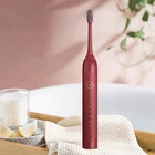 SN605 Waterproof Rechargeable Travel Sonic Toothbrush Fair Supplier