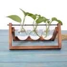 Wooden Clear Glass Wooden Planter Bulb Vases Logo/wood Craft Crates