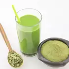 Factory Cost of 100% Natural Moringa Leaf Extract Moringa Powder from Coolflying