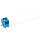 Energy saving fluorescent lamps Chinese manufacture 18w 36w 58w t8 fluorescent tube
