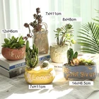Small Pots Small Cute Decorative Garden Flower Pots Succulents Wholesale