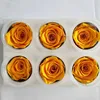 New Produced Real Preserved Roses Fresh Smell kenya Rose Wholesale For Christmas