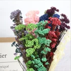 Factory price wholesale rice flower bouquet preserved