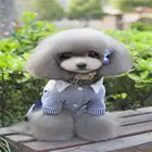 Wholesale Custom Spring and Summer Dog Apparel t-shirt Clothes