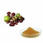 Factory Supply 100% Natural Aesculin and Esculin Horse Chestnut Seed Extract