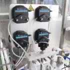 Automatic Liquor Whisky Wine Bottle Filling and Capping Machine