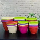Pot Various Color Nursery Small Plastic Flower Pot