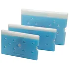 1000ml Hard Shell Plastic Ice Chest Cooler Pack Ice