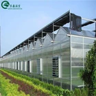 Agriculture Sunlight Greenhouse Venlo Multi Span Invernadero Agriculture Greenhouse Structure