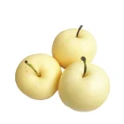 Good Pear Pear Good Shandong Ya Pear From Farm 2020 New Fresh Crop