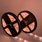 Rgb Led Strips Ledrgb Led Rgb Strip 2020 Hot Sale China SMD5050 Waterproof 2M 5M Rgb Usb Led Strips Lights Set