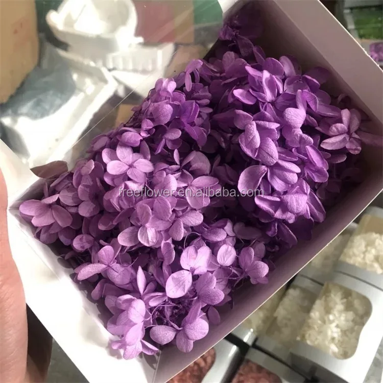 high quality natural preserved flower fresh preserved hydrangea