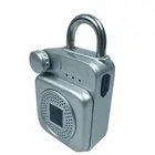 Chinese Made smart door lock biometric With New Currents