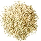 Thermoplastic Granule Thermoplastic Granule Thermoplastic