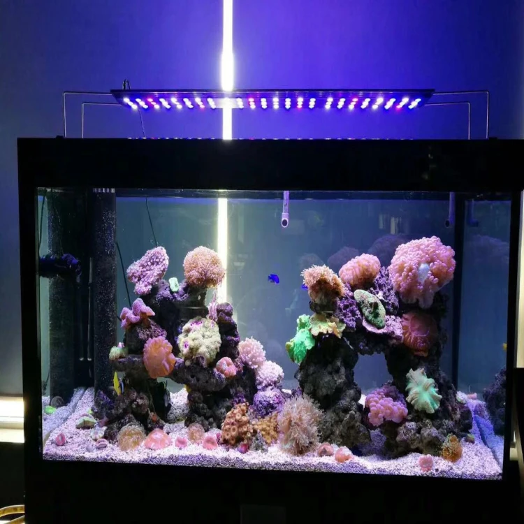 Marineland Single Bright Led Aquarium Light 36 48 Review Youtube