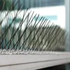 /product-detail/plastic-pigeon-control-spikes-anti-bird-spikes-for-bird-deterrent-600351040.html
