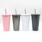 WLV015 insulated water bottle double walled cup custom logo stainless steel tumbler with straw
