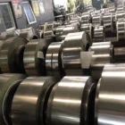 Alloy 3j1 Elastic Alloy Strip 3J1 3J2 3J3 3J53 3J58 Iron Nickel Chromium Alloy