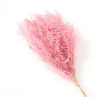 Decorative Flowers Flower Decorative Flowers Preserved Leaves For DIY Flower Arrangement