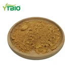 Natural Bulk Damiana Leaf Extract Powder 50:1