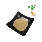 Root Extract Supply 100% Natural 10%- 80% Ginseng Leaves Extract Powder