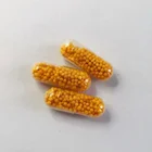 Vitamin B Health Product Sustained Release Beadlet Vitamin B Complex Capsules